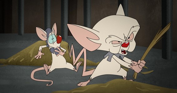 Pinky And The Brain